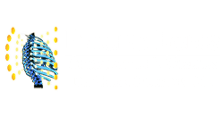 Chiropractic Trinity FL Beyond Bones Chiropractic & Wellness